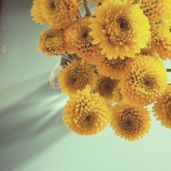 20120227-144859.jpg 20120227-144859.jpg